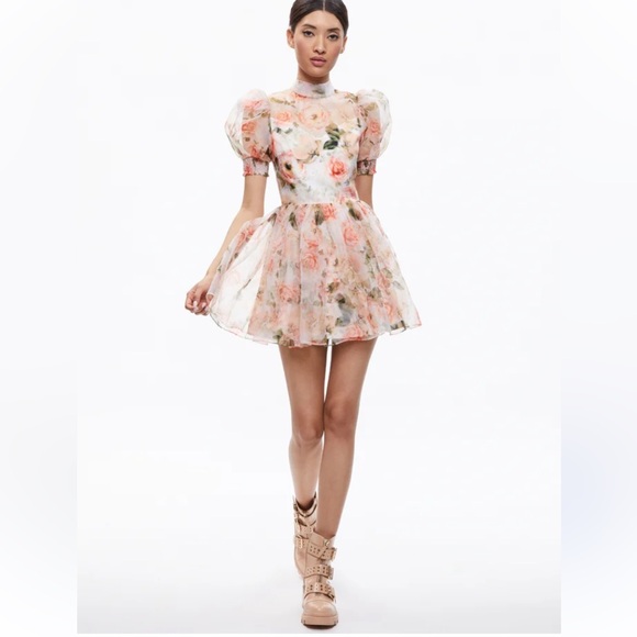 Alice + Olivia Dresses & Skirts - Alice + Olivia VERNITA PUFF SLEEVE SWEETHEART NECKLINE MINI DRESS
$595